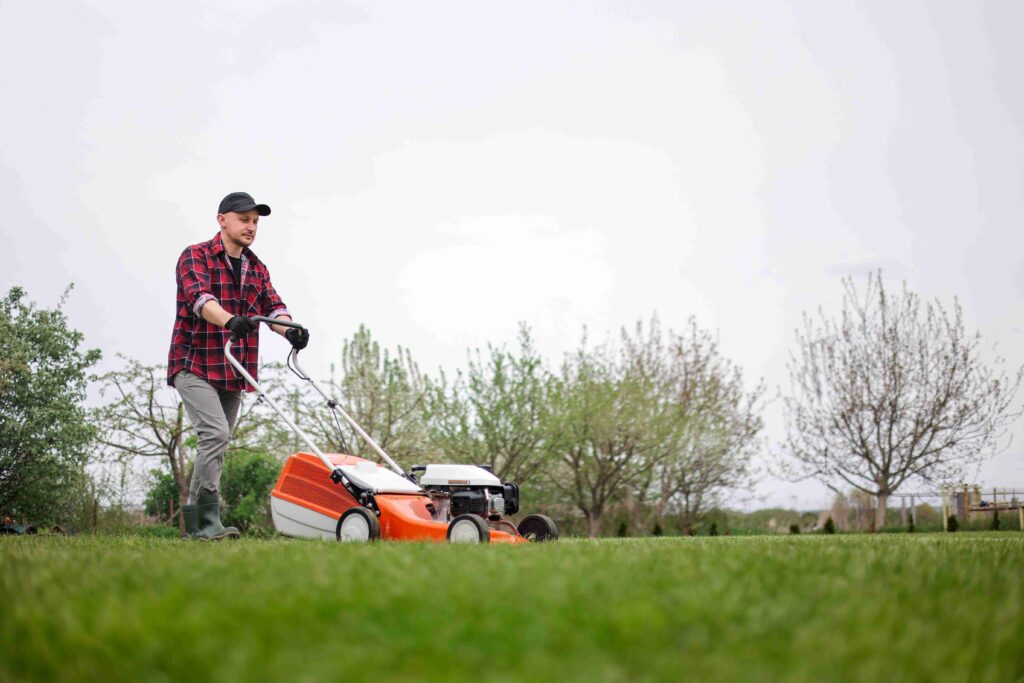 How To Get Rid Of Spiky Balls In Grass