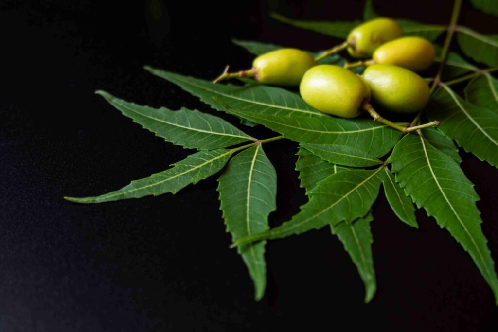 Is Neem Oil Safe For Grass