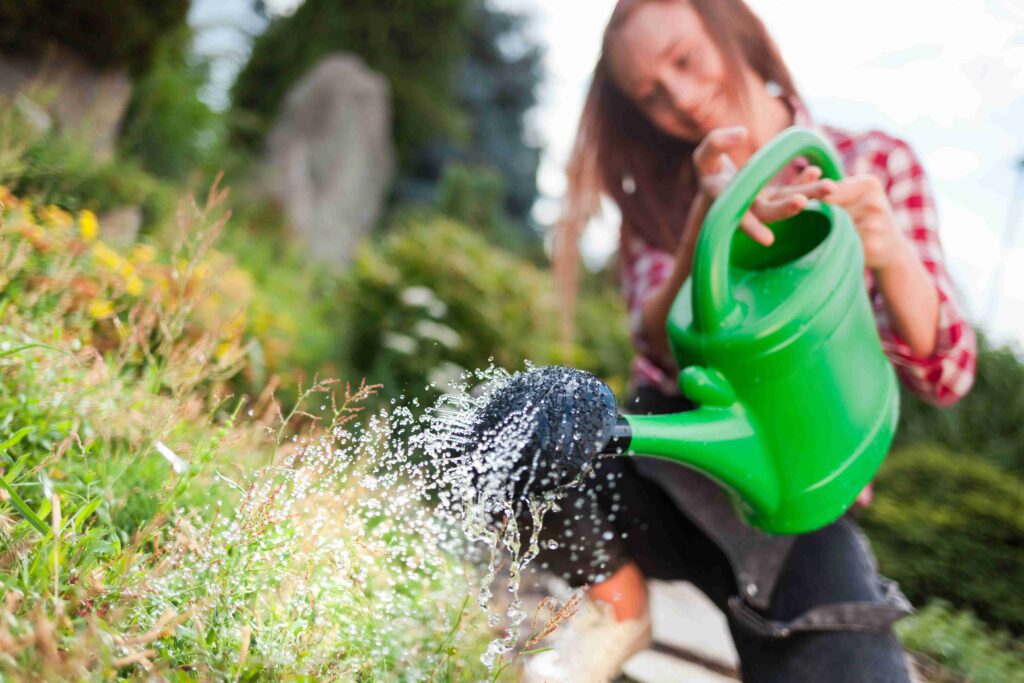 Miracle-Gro Lawn Products Made For Grass