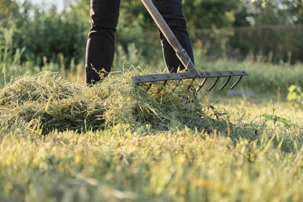 Straw Substitute For Grass Seed