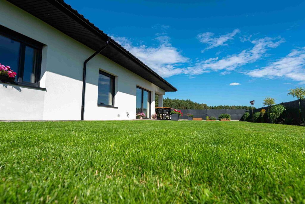 What Happens When There’s Too Much Iron