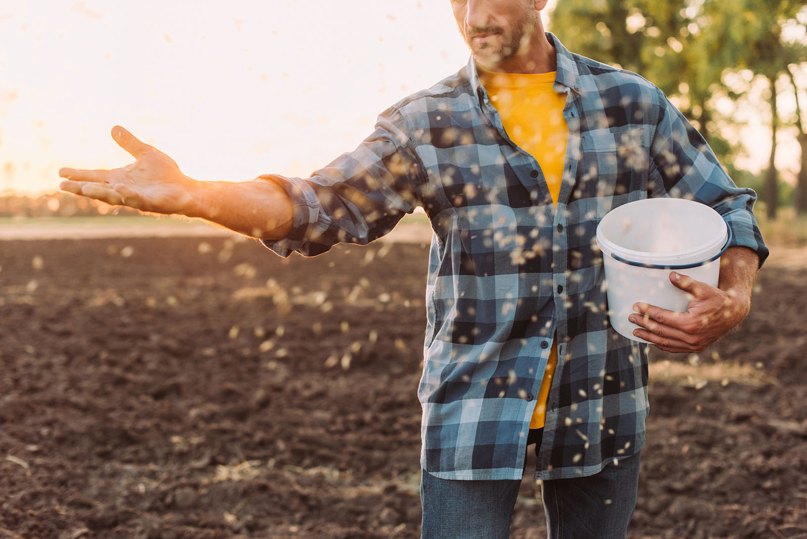 Farmer Spreading Fertiilizer To Fix Ph Problems In Soil