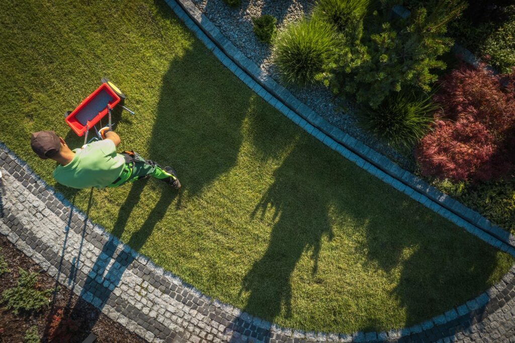 Gardener Applying Cayenne Pepper As Natural Grass Killer Resized