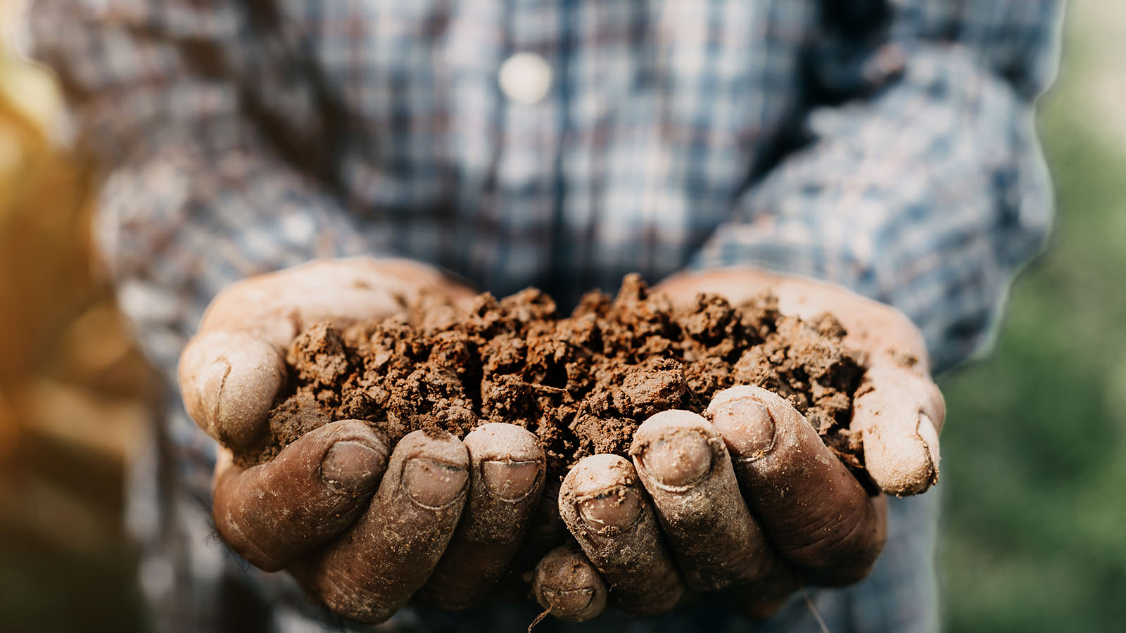 Professional Soil Testing For Ph With Dirt In Hands