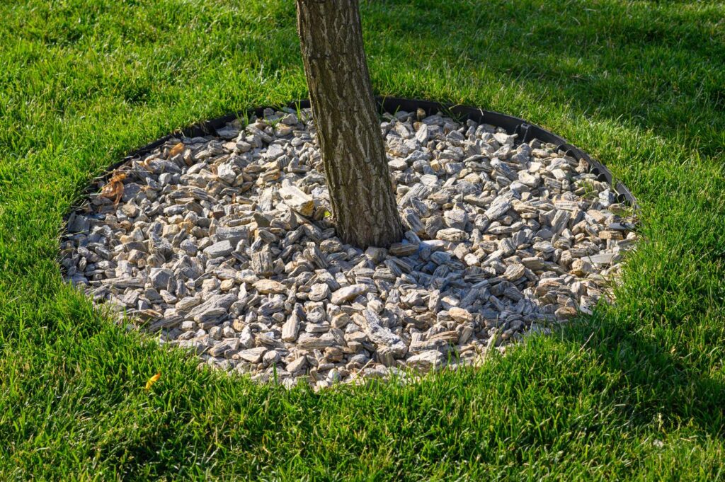 River Rocks Surrounding Young Tree With Bark Mulch Resized