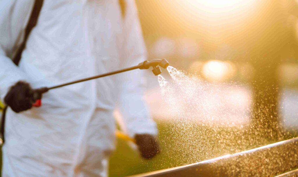 why are there dark green patches in my lawn